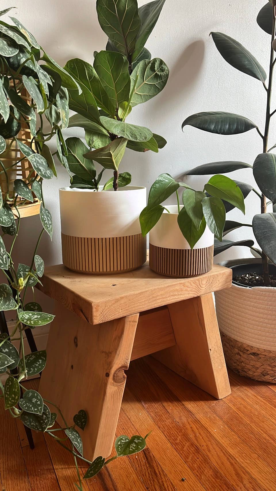 Planters & Pots