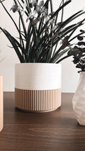 Two-toned Wood & Colour Plant Pot