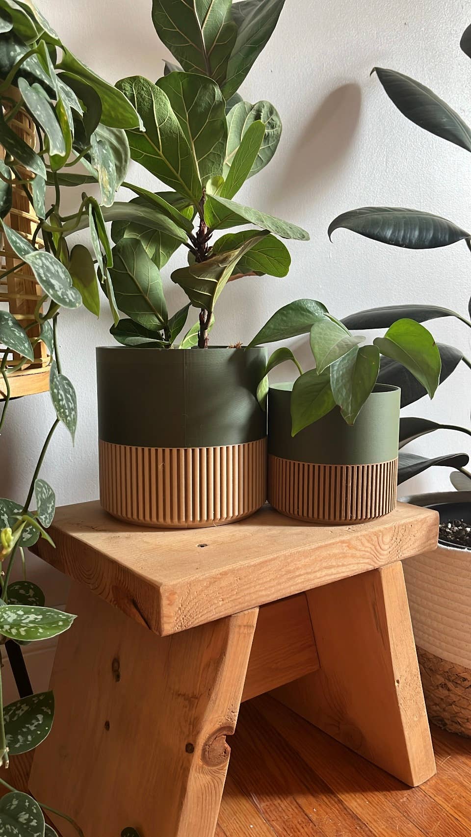 Two-toned Wood & Colour Plant Pot