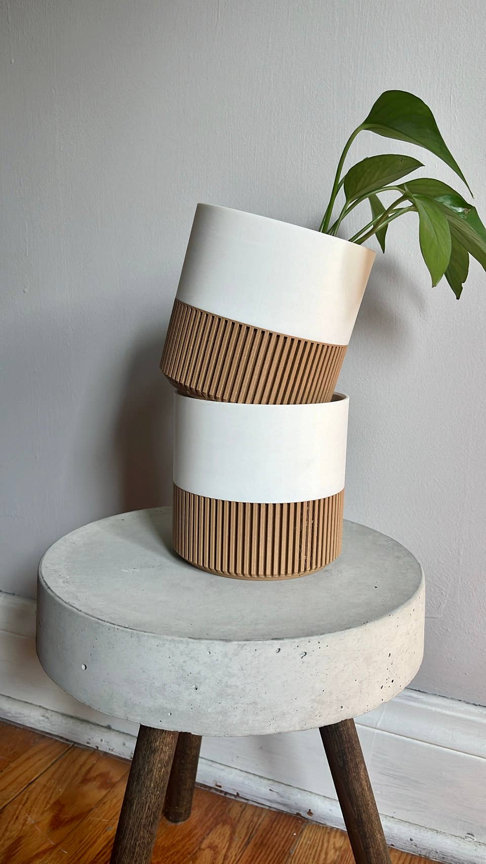 Two-toned Wood & Colour Plant Pot