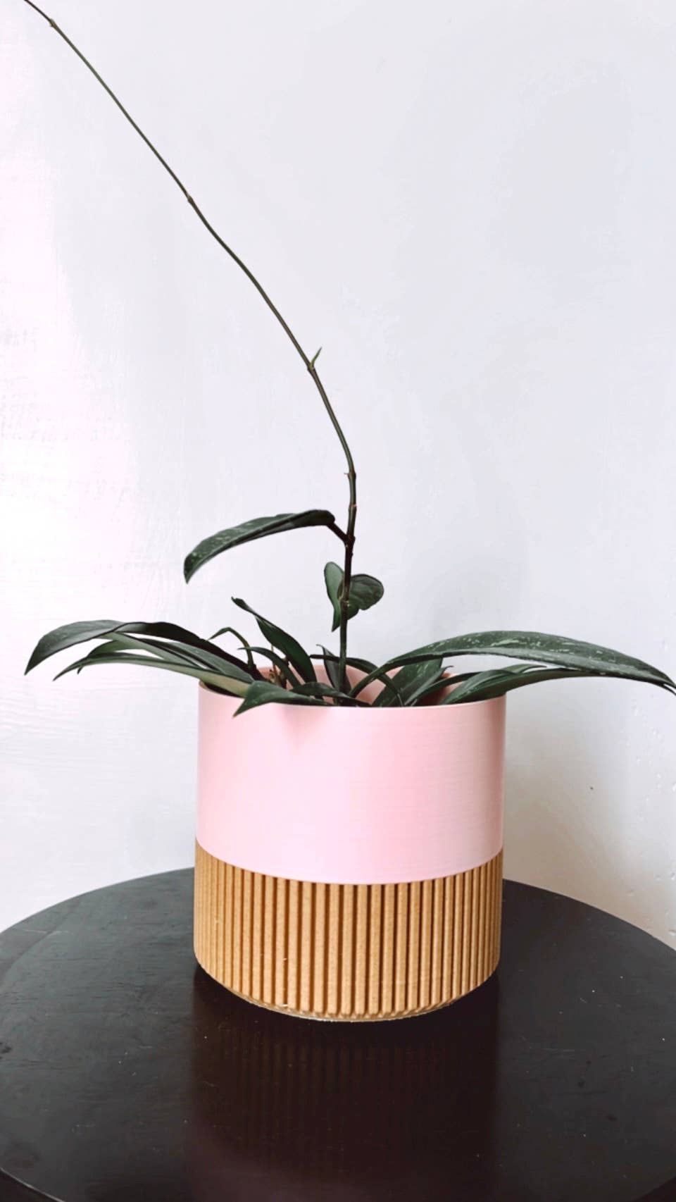 Two-toned Wood & Colour Plant Pot