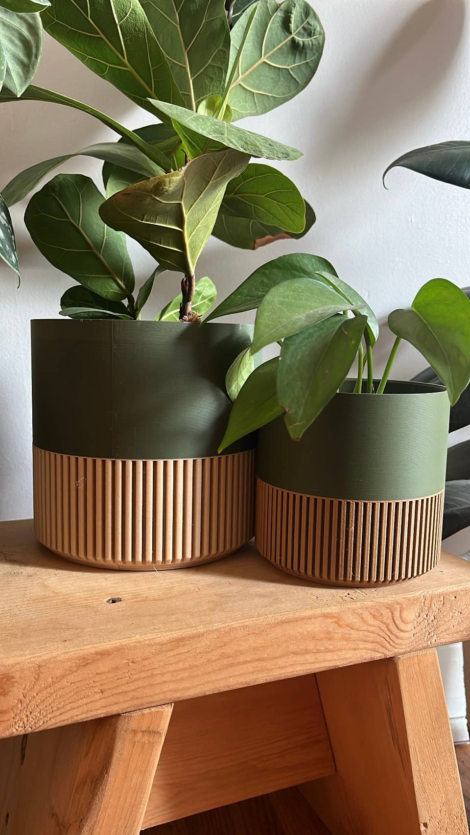 Two-toned Wood & Colour Plant Pot