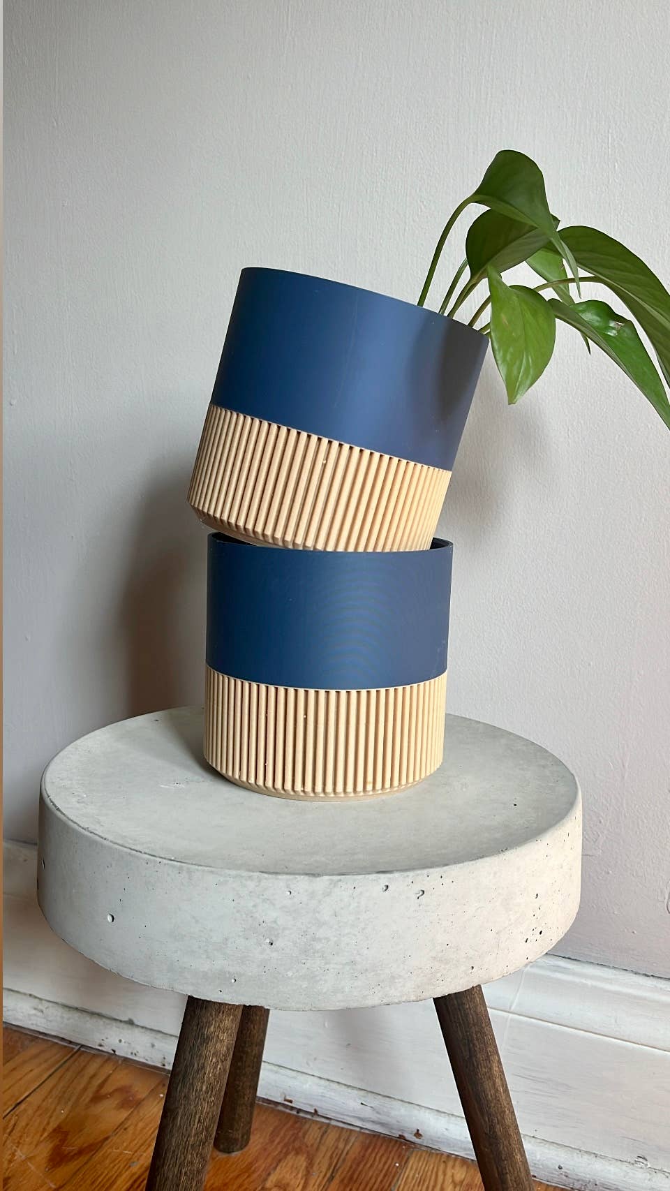 Two-toned Wood & Colour Plant Pot
